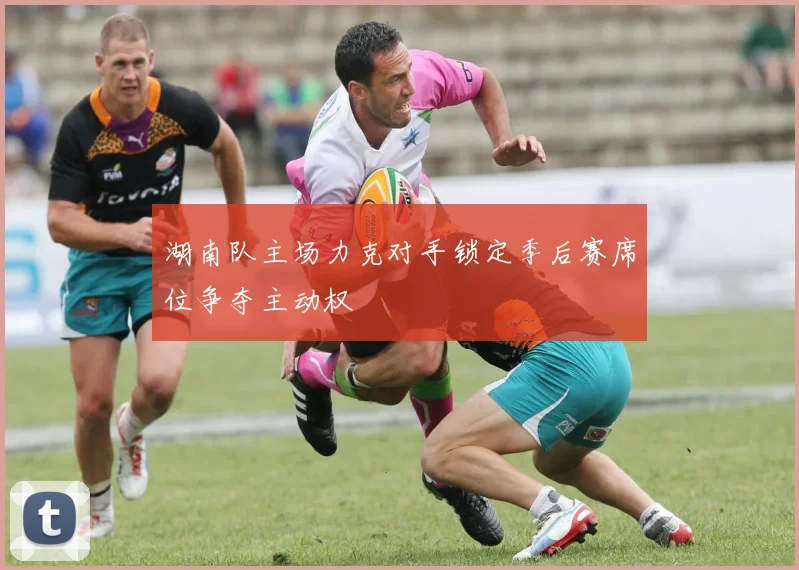 湖南队主场力克对手锁定季后赛席位争夺主动权