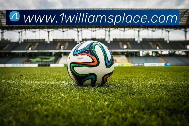 mksports登录入口平台生态图